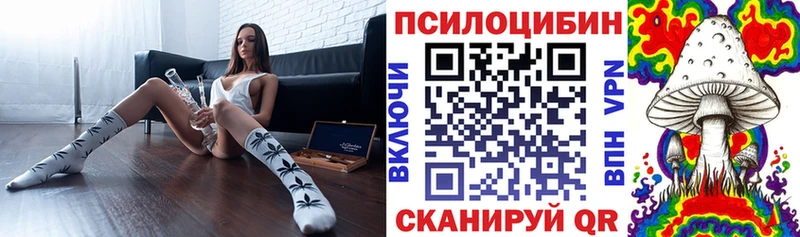 Купить где  Ясный  Галлюциногенные грибы Cubensis 